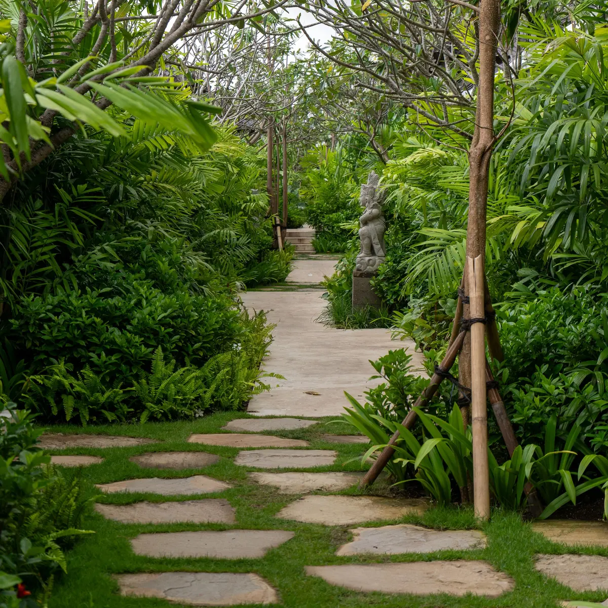 Taman