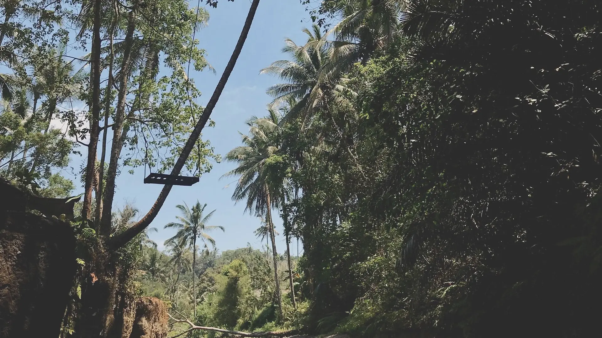 Tepi sungai