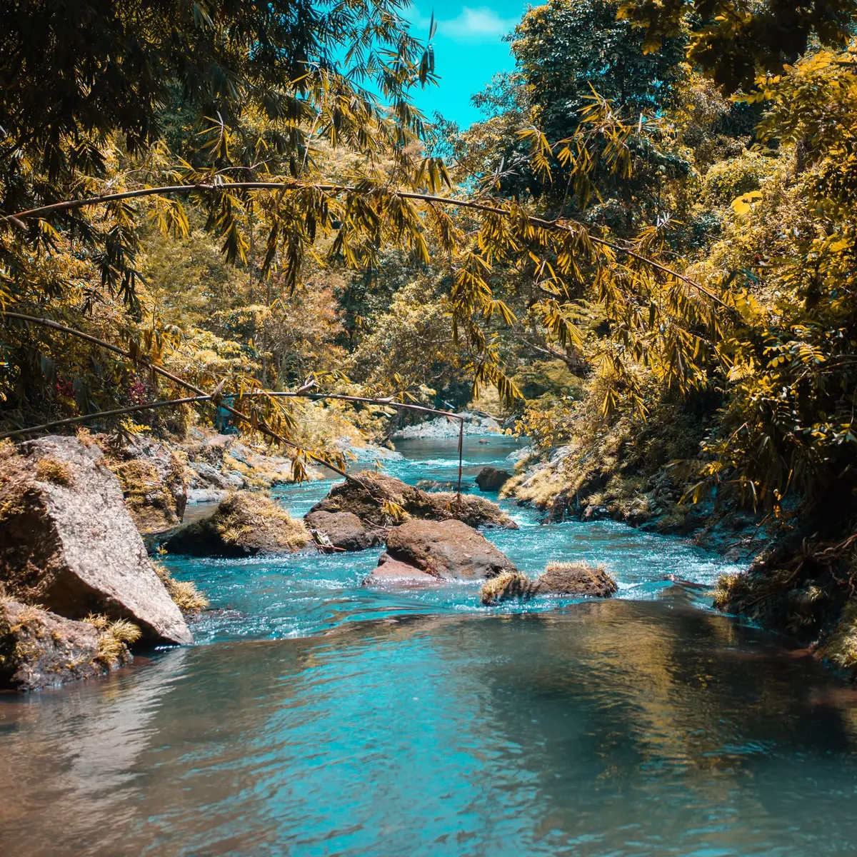 Tepi sungai