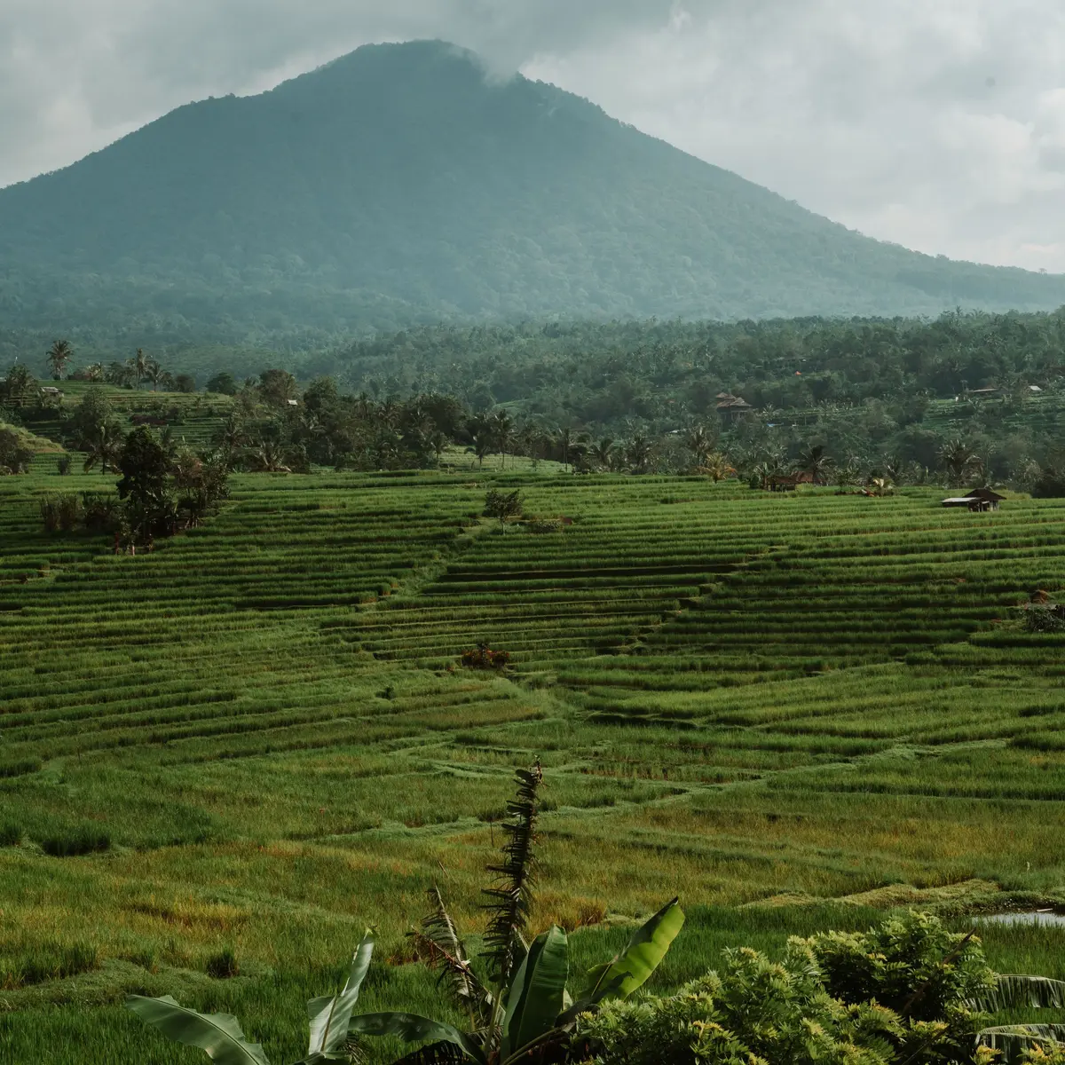 Titik pandang Bukit Jambul